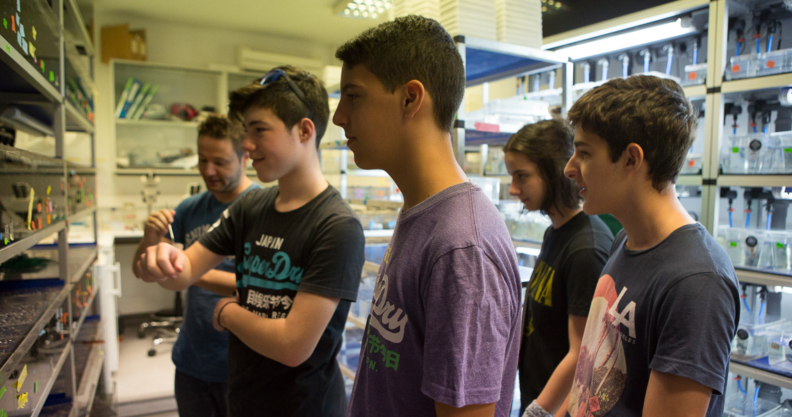 Tech Summer School for 13-19Y at British Council by Themis Gkion, Flow Athens